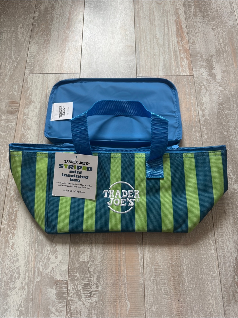 Trader Joe's Blue & Green Striped Mini Insulated Bag